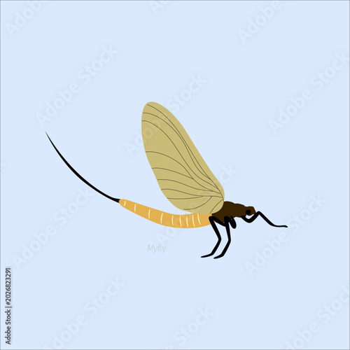 Canvastavla Mayfly cartoon illustration with transparent wings and long tail, aquatic insect