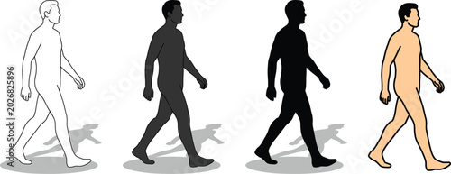 Valokuva "Walking Man Figure Set - Four Styles Wireframe Gray Silhouette Black and Nude C