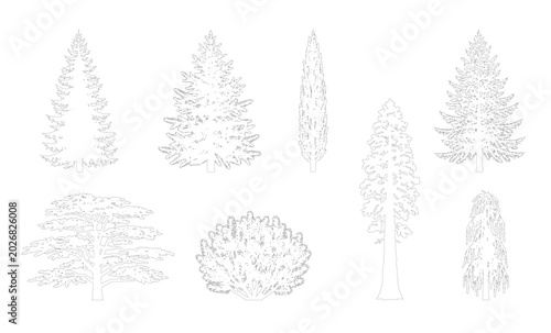 Slika na platnu CAD line art spruce fir sequoia and bushy conifer tree side view elevation set, outline tall and ground conifer pine tree symbols for landscape and forest design plans