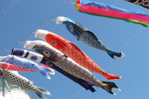 青空を泳ぐ鯉のぼり