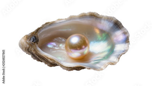 Schilderij op canvas Single lustrous golden pearl nestled inside a textured oyster shell, isolated on