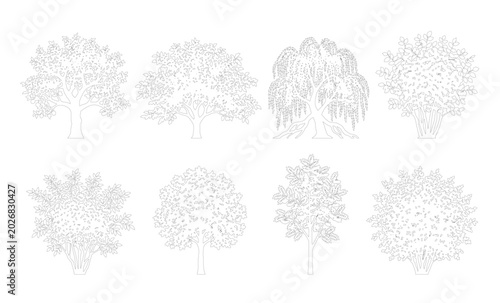 Slika na platnu CAD line art broad oak weeping willow and round bushy tree side view elevation set, outline mixed spreading deciduous tree symbols for architectural landscape design plans