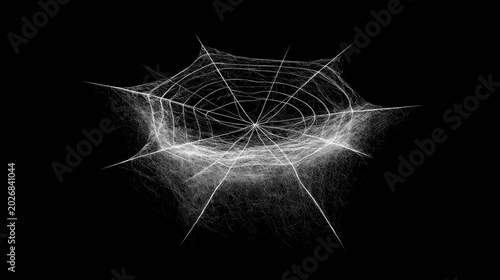 Intricate, delicate white spiderweb glistens against a stark black background