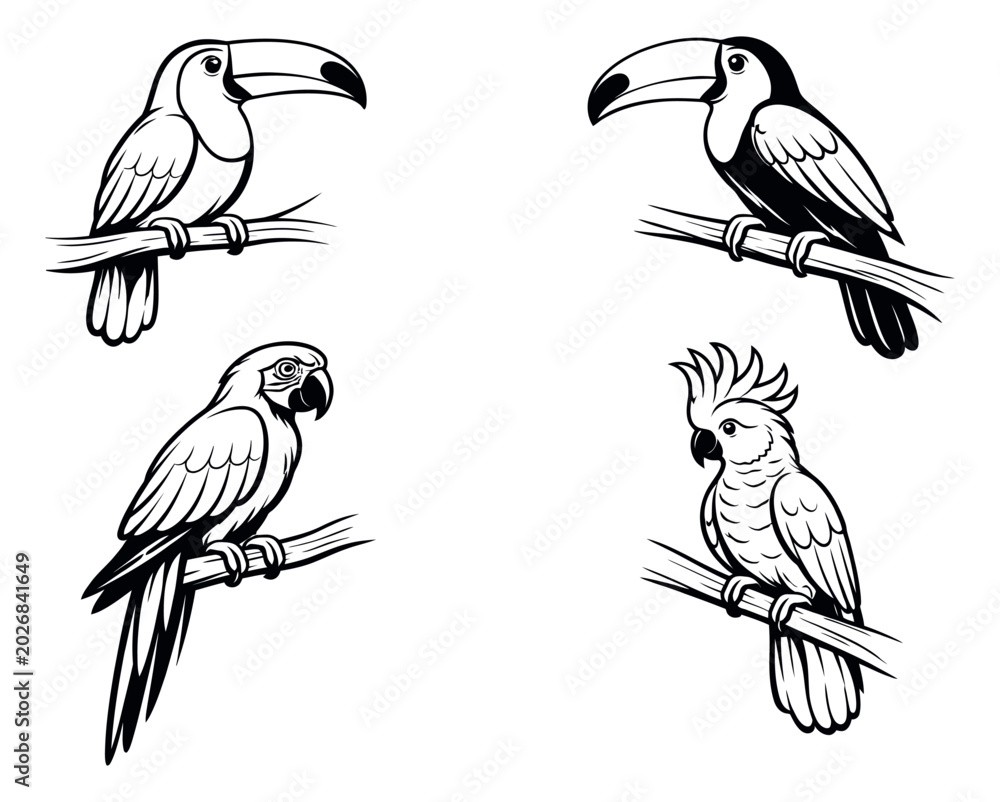 Naklejka premium Line art tropical bird set featuring toucans, a macaw, and a cockatoo for wildlife and nature designs