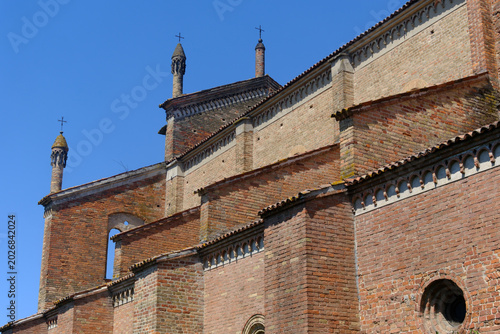 A wild turtledove at Lodi Vecchio, Italy, in April