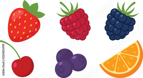 Vibrant Vector Illustration of Fresh Summer Berries and Fruits Including Strawberry Raspberry Blackberry Cherry Blueberry and Juicy Orange Slice
