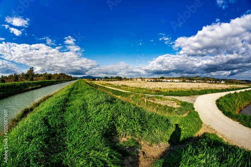 Photos Panoramic view of Sterpaia Park, Piombino, Tuscany, Italy