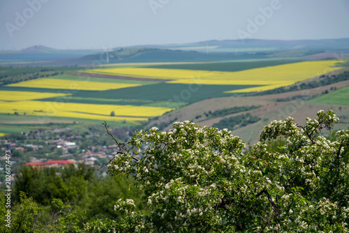 Bilde på lerret landscape in the spring, view from Consul Hill, Izvoarele Village, Tulcea, Roman