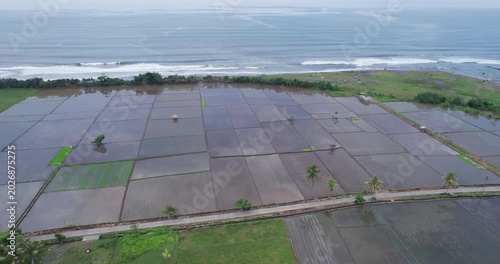 Aerial view of paddy rice fields by the ocean in Bali island