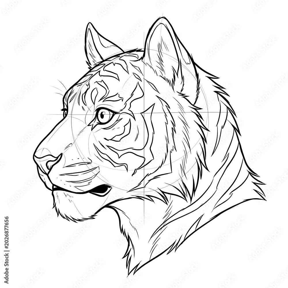 Obraz premium Hand drawn sketch of male furry tiger head base in side profile view showing curious expression isolated on white background. Anime illustration.