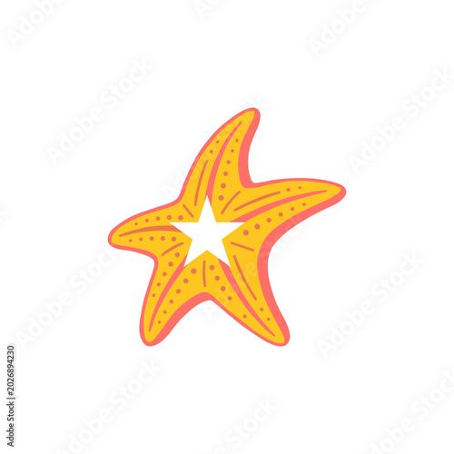 Summer Starfis Illustration