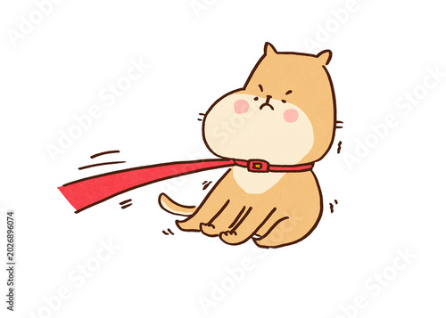Tableau sur toile Shiba inu dog resisting and planting its feet while being pulled on a leash, stu