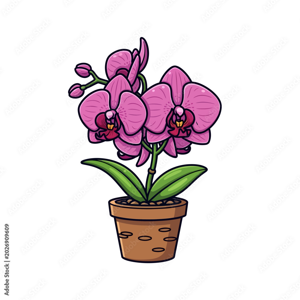 Obraz premium Vector illustration of a blooming pink moth orchid plant in a brown terracotta pot with green leaves and buds, mascot style floral graphic isolated on a white background.