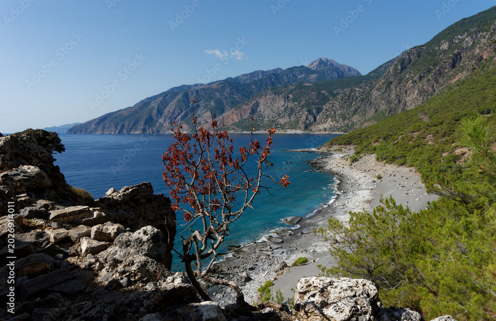 Fototapeta premium Kreta - Agia Roumeli - Wanderweg nach Loutro