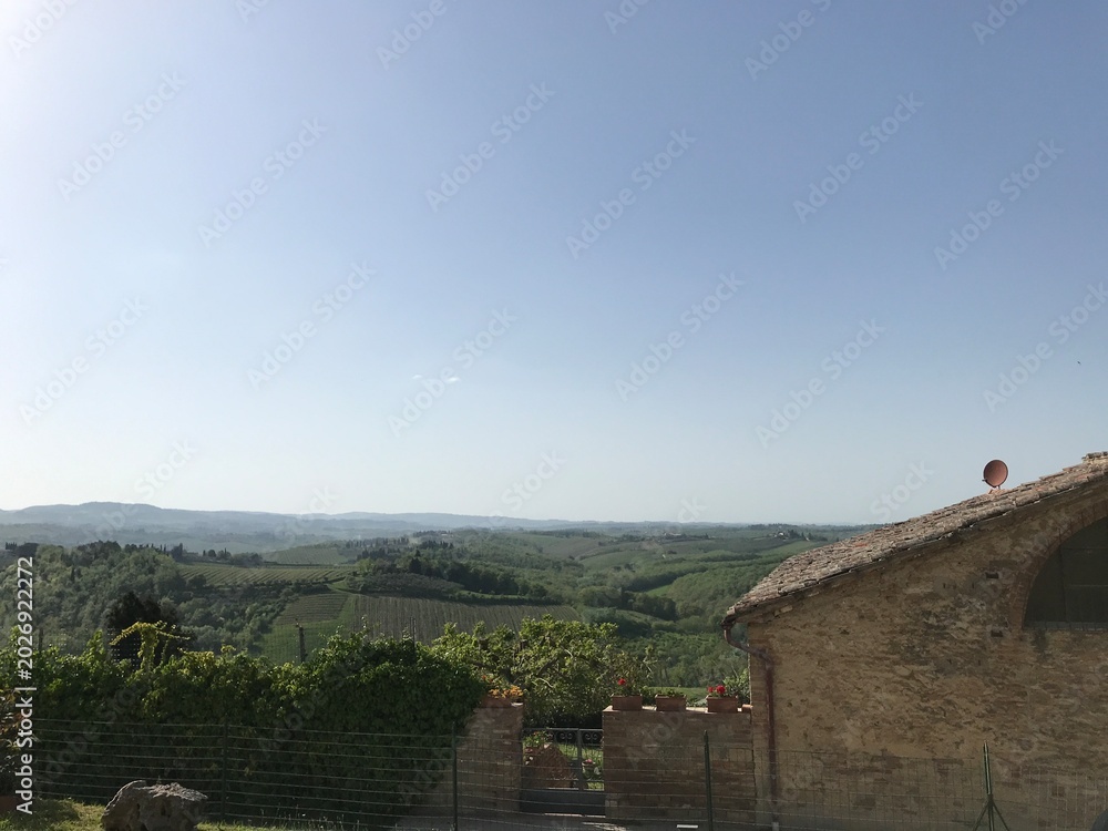 Fototapeta premium Panoramic View of Rolling Tuscan Hills and Vineyards in Siena Italy