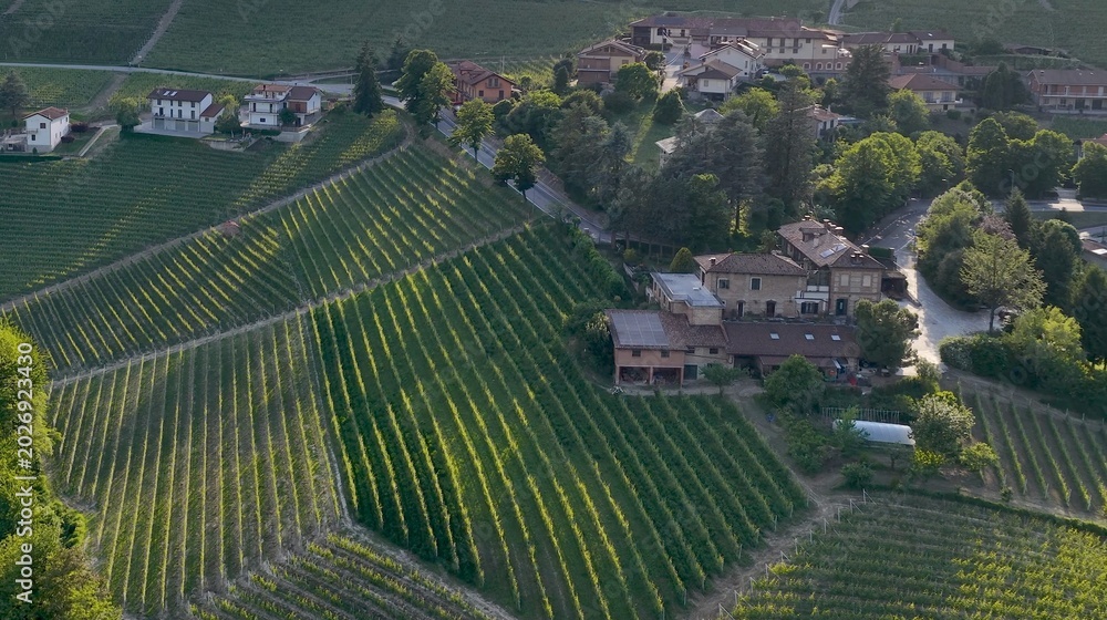 Fototapeta premium Aerial View of Barolo Vineyards and Rural Farmhouses in Piedmont Italy