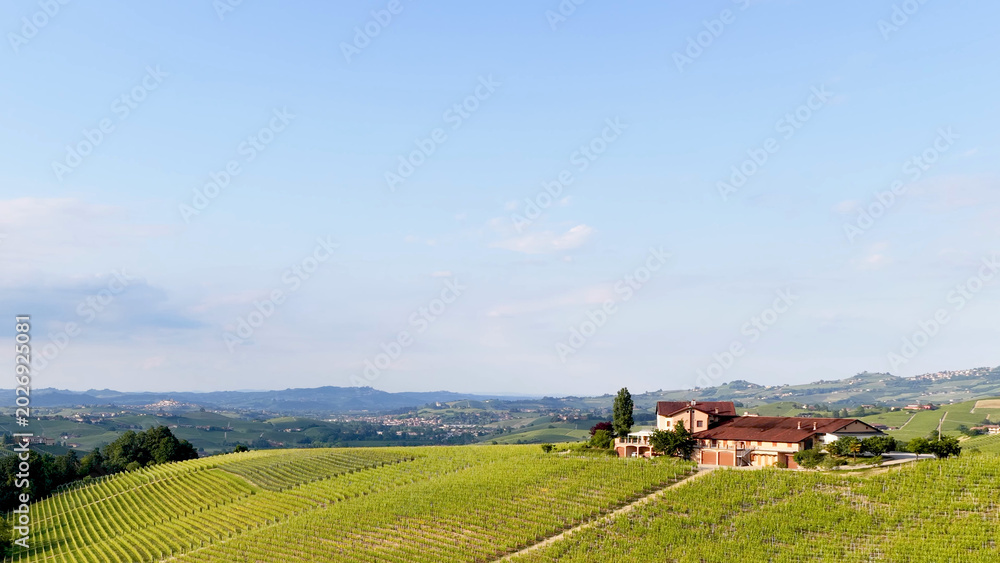 Fototapeta premium Rolling Hills and Lush Vineyards with a Farmhouse in Piedmont Italy