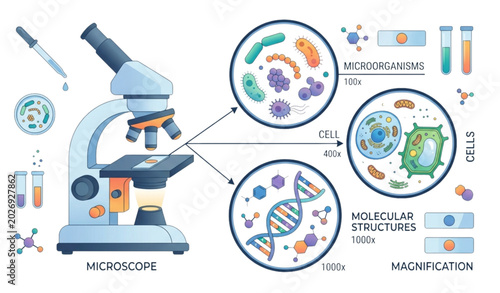 Bild auf Leinwand Microscope magnification levels for microorganisms cells and molecular structure