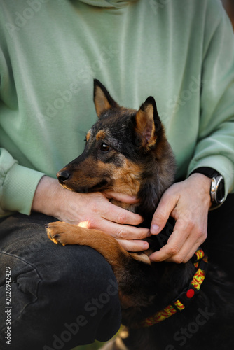 Obraz na płótnie Owner holding cute mixed breed dog on lap