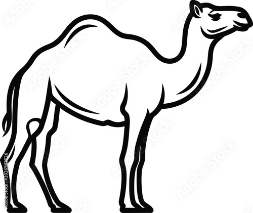 Tableau sur toile Dromedary camel outline vector illustration with line art two humps single hump