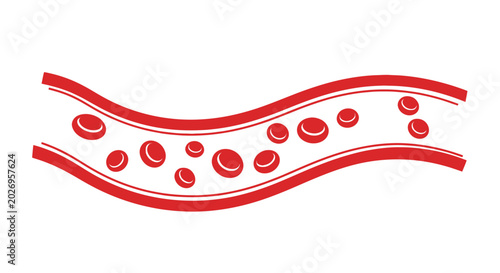 Photos Blood Vessel with Red Blood Cells Vector Illustration