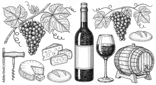 Hand Drawn Wine and Cheese Set with Grapes and Barrel