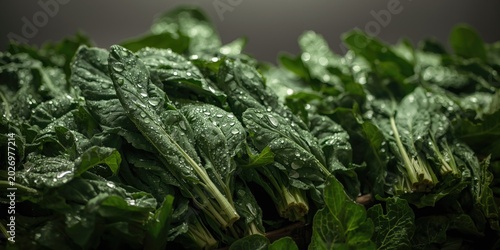 Bundled fresh collard greens with dewy leaves prepared for sale