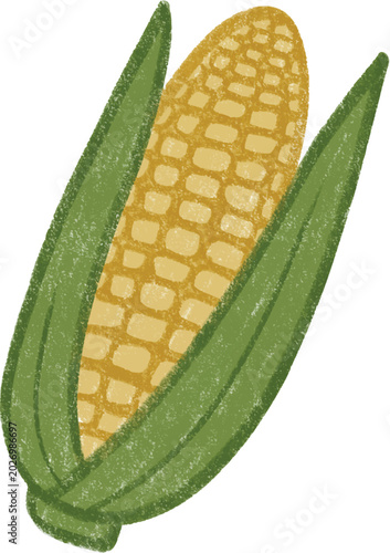 Hand drawn corn cute illustration