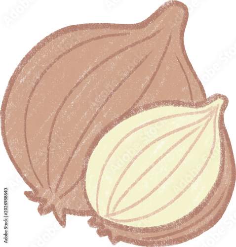 Hand drawn onion cute illustration