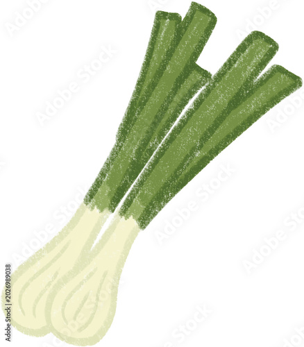 Hand drawn green onion cute illustration