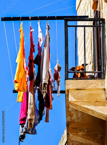 Dog on a balcony of a house at Vittoriosa, Malta