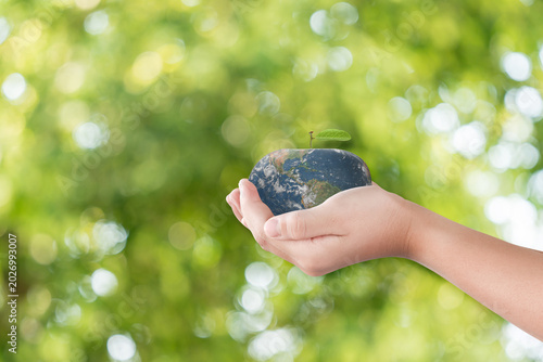 Hand holding earth apple with green leaf symbolizing ecology and environmental care
