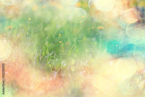 bokeh grass and flowers, summer nature background, blurred sun glare on fields of meadow flowers and fresh grass