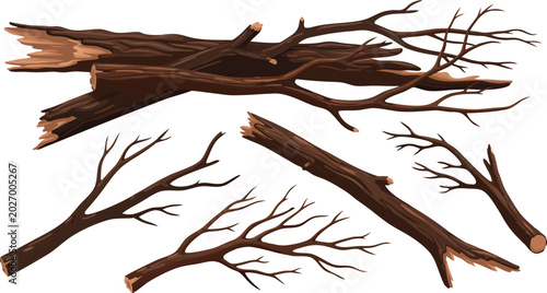 Photos Dry Tree Branch Illustration Set Featuring Broken Wooden Sticks, Natural Forest