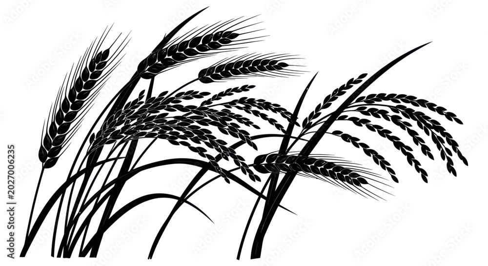 Fototapeta premium Wheat and Rice Stalks Silhouette Vector Illustration