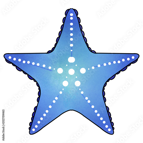 Blue watercolor starfish illustration, decorative marine sea star graphic