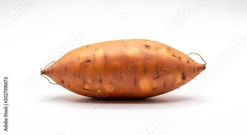 A large sweet potato on an isolated white background with visible roots and blemishes