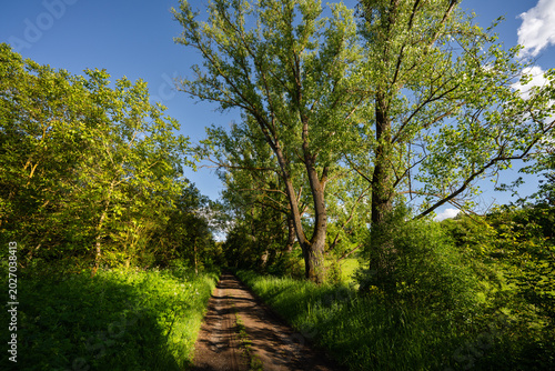 Aulheimer Tal (Flonheim) Mai 2026