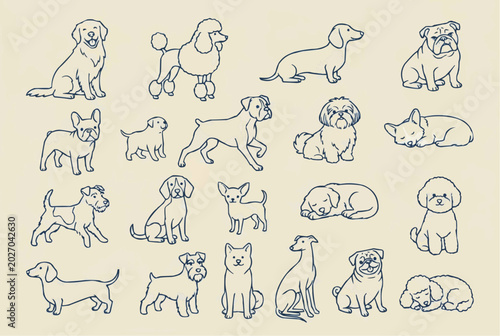 Cute dog line art vector illustration set. Minimalist hand drawn doodle sketches of various dog breeds in blue outline on cream background.