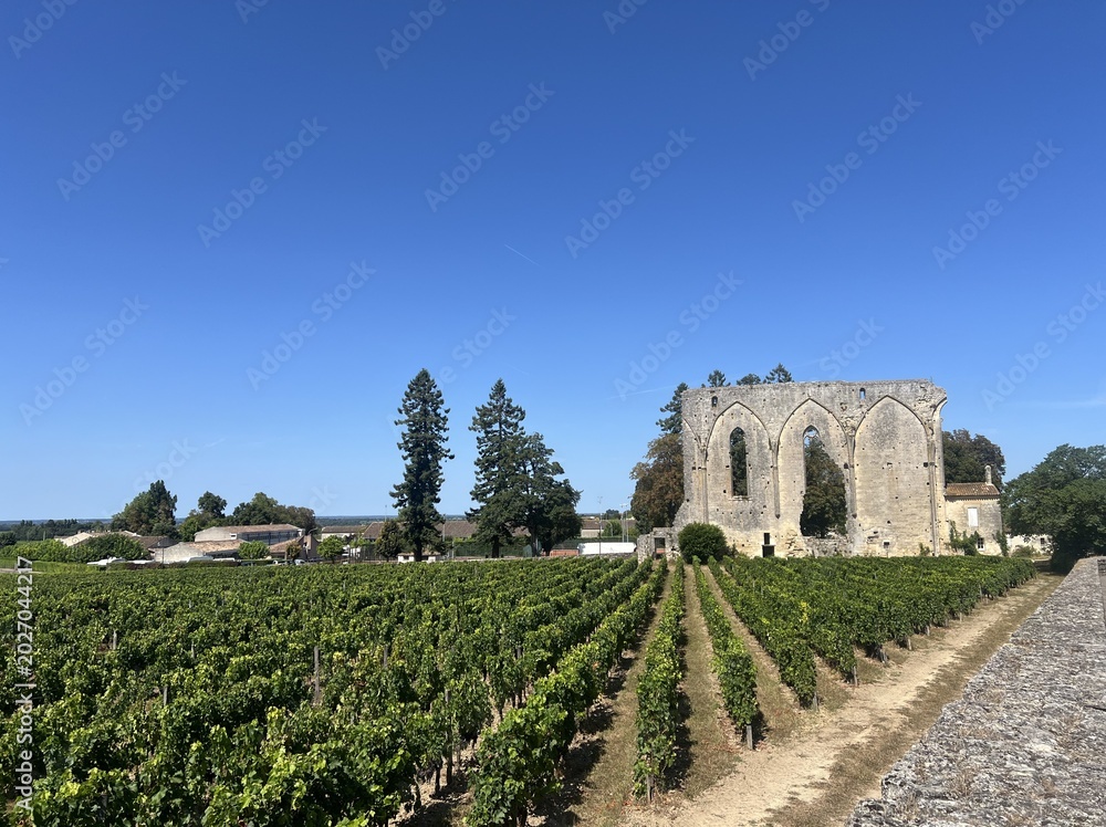 Fototapeta premium Ancient Stone Ruins and Green Vineyard Rows Under a Bright Blue Sky