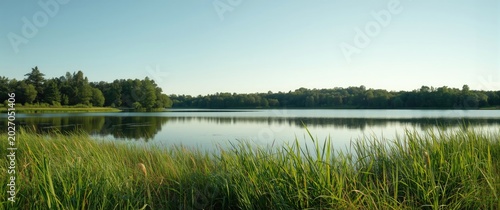A still lake with dense green grass along the edges during a clear summer day