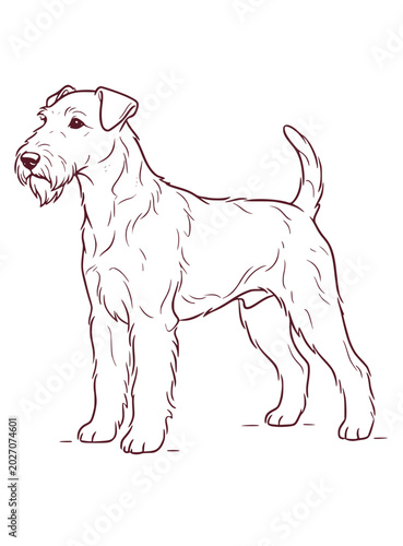 Bild auf Leinwand Illustration of a Airedale Terrier Dog
