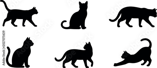 Photography Black cat silhouettes in various poses