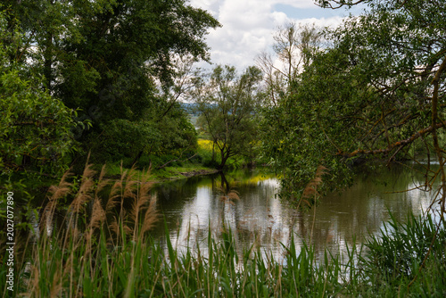 Naturschutzgebiet am ehemaligen Deichhof Langenlonsheim/Gensingen