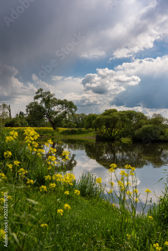Naturschutzgebiet am ehemaligen Deichhof Langenlonsheim/Gensingen