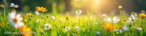 Vibrant spring meadow bursting with wildflowers, sunlight illuminating delicate petals and lush green grass  Perfect for nature, springtime, and seasonal themes ,  countryside,  vibrant colors