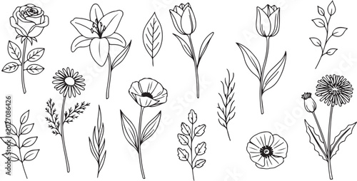 Fotografie Black and white floral seamless vector pattern illustration with vintage botanic