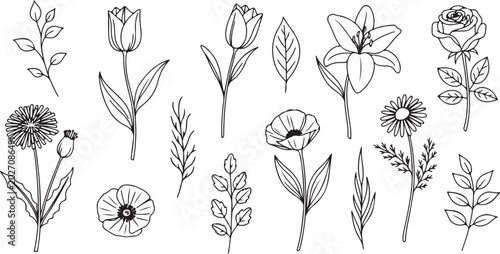 Obraz na płótnie Black and white floral seamless vector pattern illustration with vintage botanic
