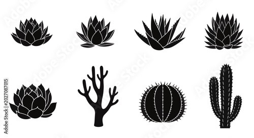 Collection of flat black desert plant icons featuring various cacti, succulents, and arid flora silhouettes isolated on a white background for graphic design and web interfaces.
