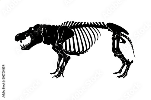 Fotografi Mammoth skeleton illustration: Detailed black and white illustration of a mammoth skeleton, showcasing its massive rib cage, skull, and long tusks, offering a glimpse into prehistoric life